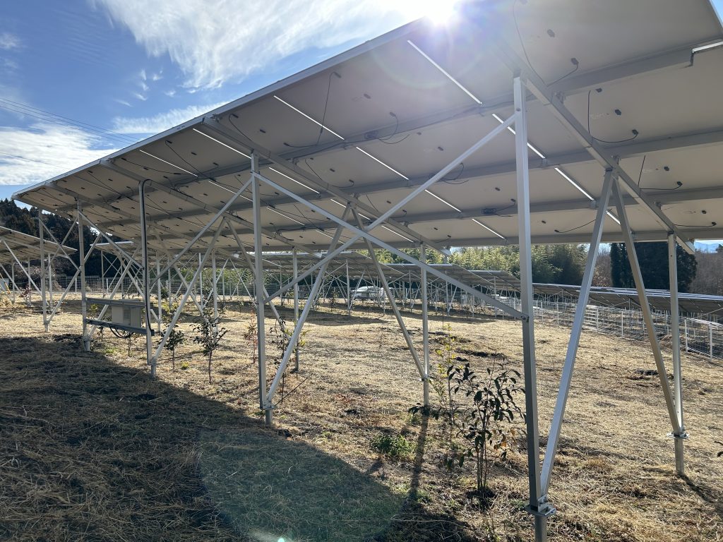 ソーラーシェアリング 農業法人　中井ファーム