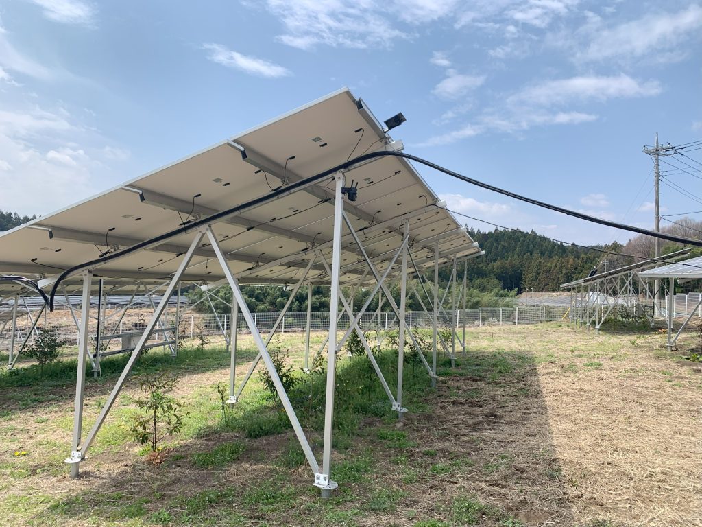 ソーラーシェアリング 農業法人　中井ファーム