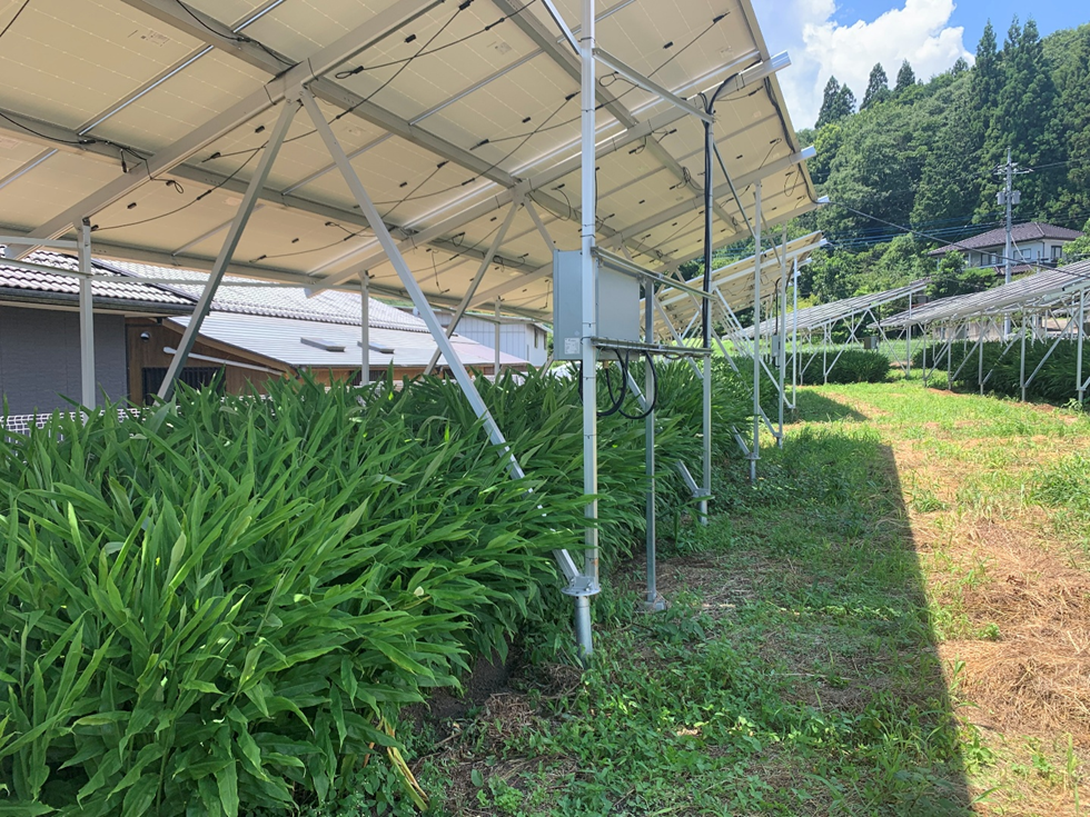 ソーラーシェアリング 農業法人　中井ファーム