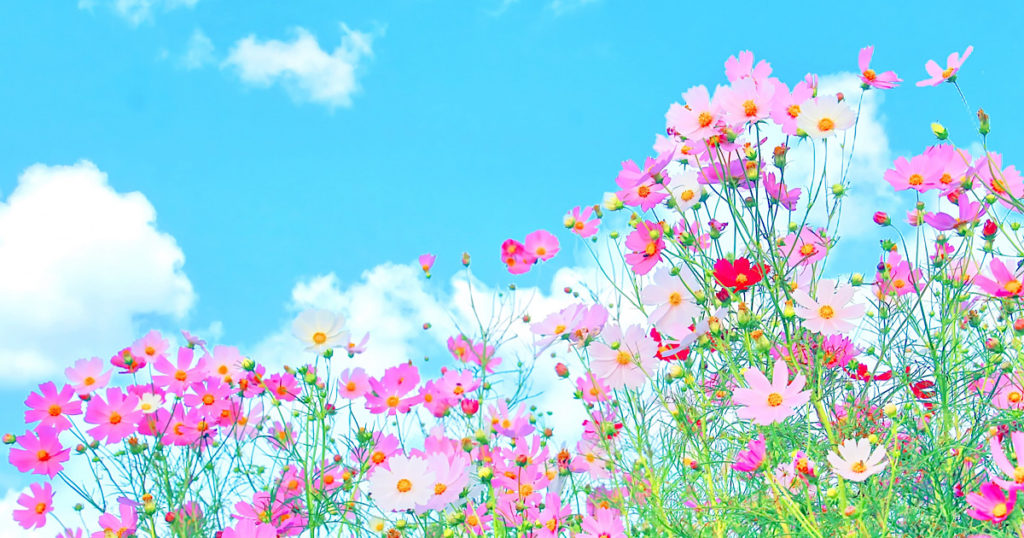 ２０２５年９月休みのお知らせ