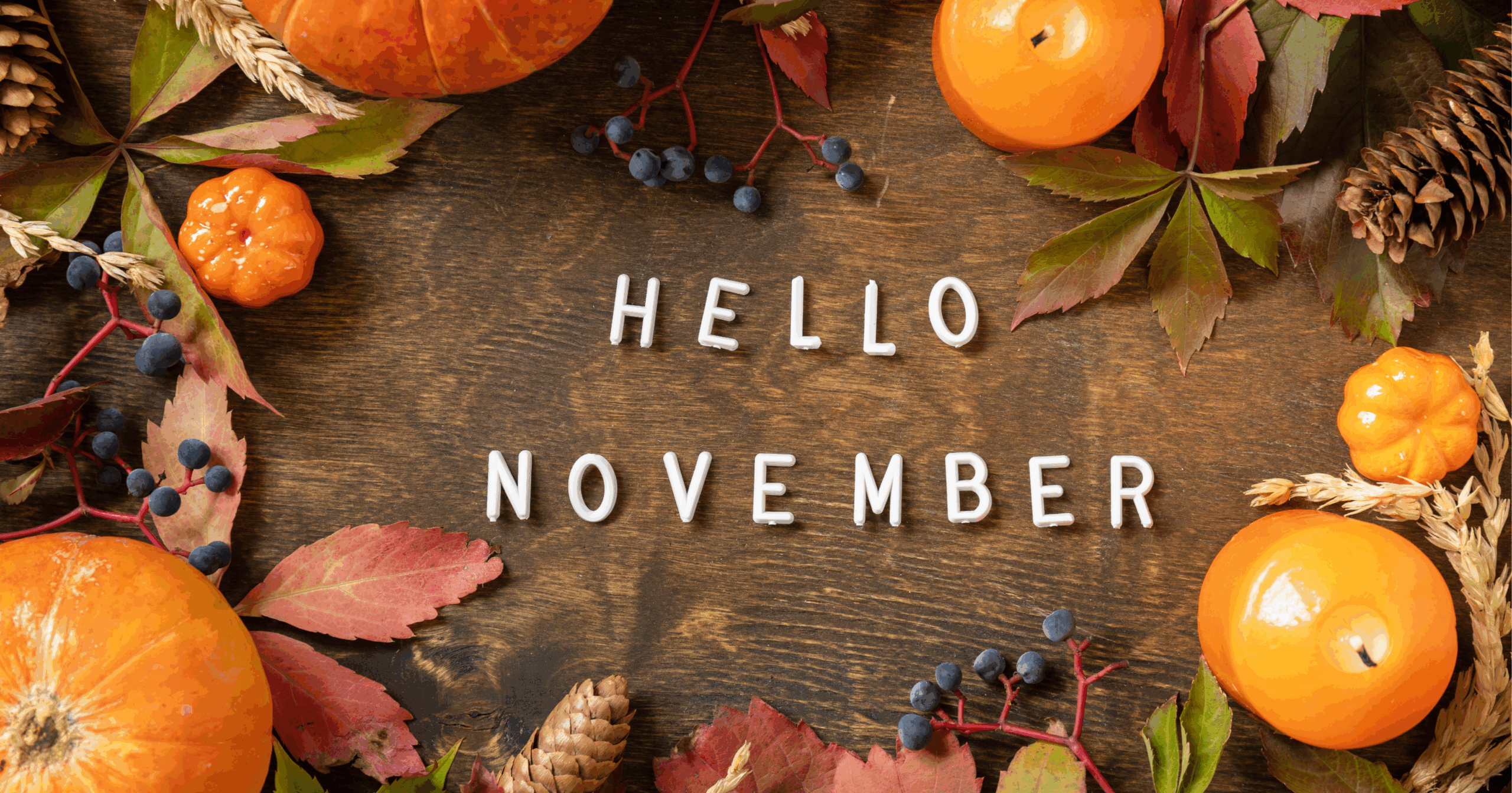 １１月お休み ダイショウホーム